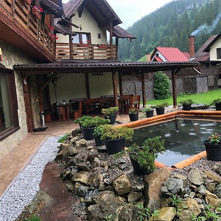 Hotel Pietrele Doamnei Pojorîta Exterior foto